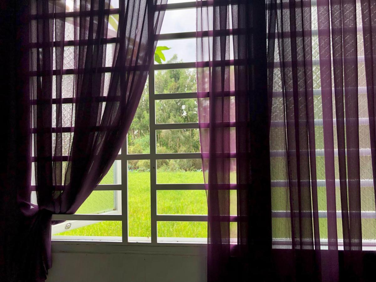 Ho Da Huong Tram Homestay מראה חיצוני תמונה
