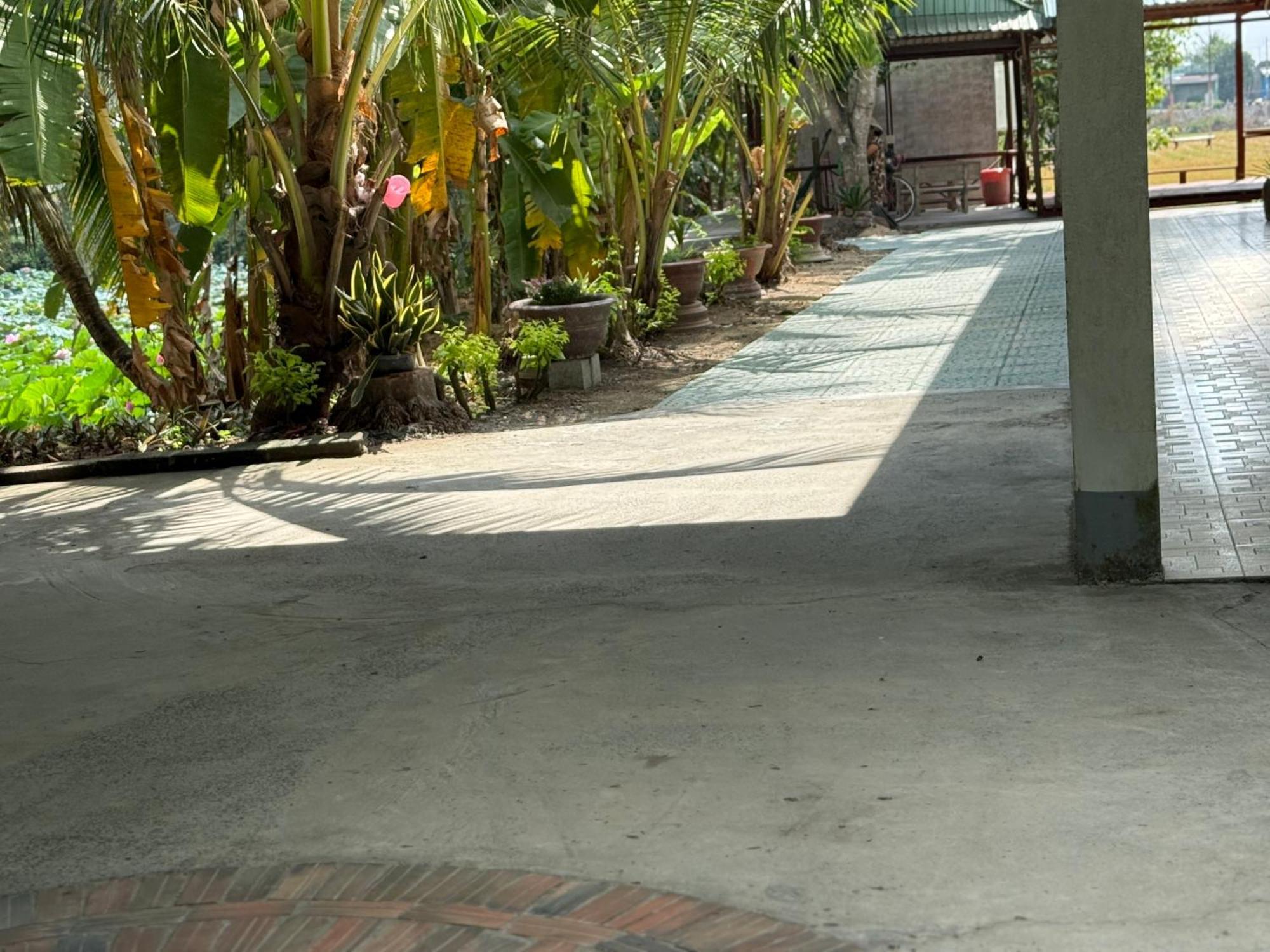 Ho Da Huong Tram Homestay מראה חיצוני תמונה