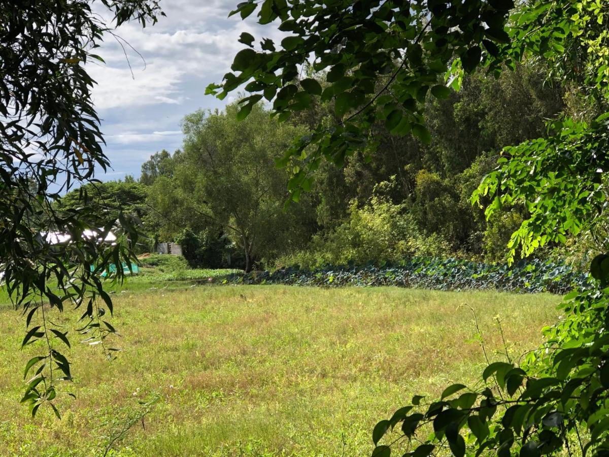 Ho Da Huong Tram Homestay מראה חיצוני תמונה