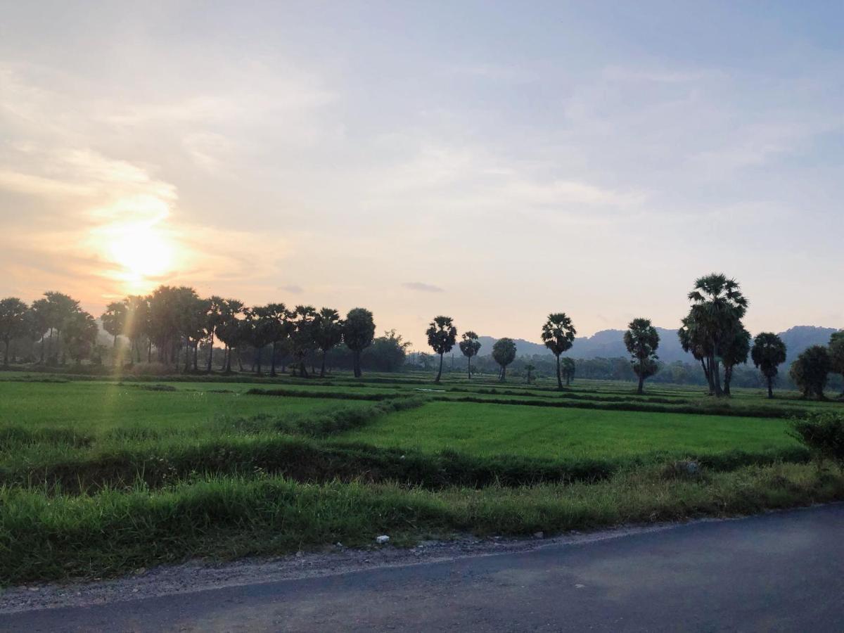 Ho Da Huong Tram Homestay מראה חיצוני תמונה